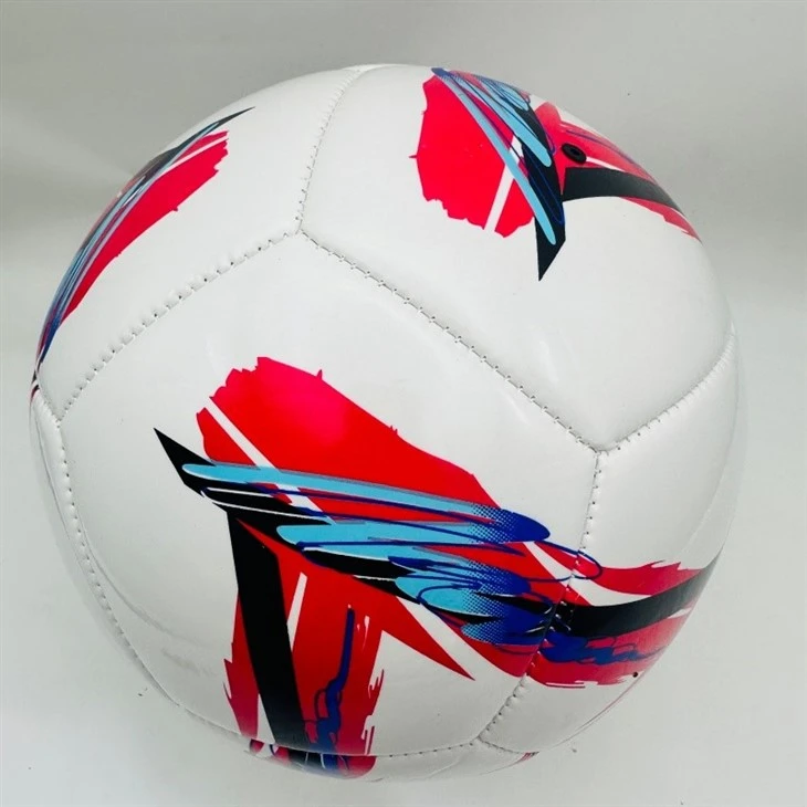 Shiny PVC Soccer Ball price